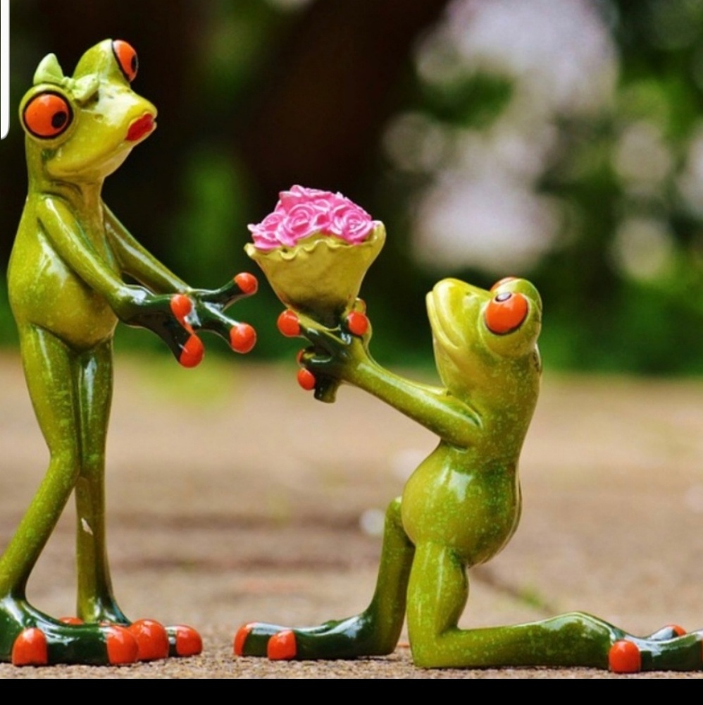 If you make an offering I'll TOADLY listen.